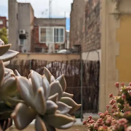 Crash'nstay - Casa Barna