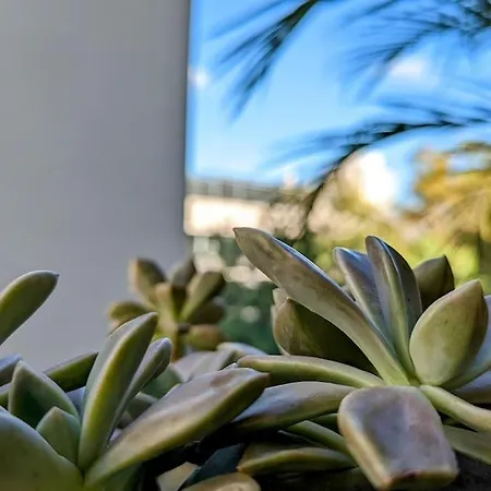Crash'nstay - Casa Barna Apartman Barcelona